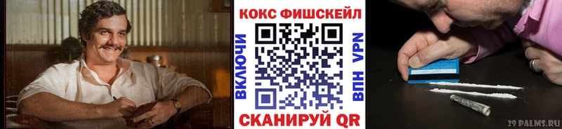 Кокаин Fish Scale Георгиевск