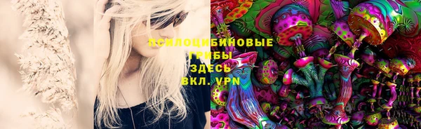 2c-b Армянск